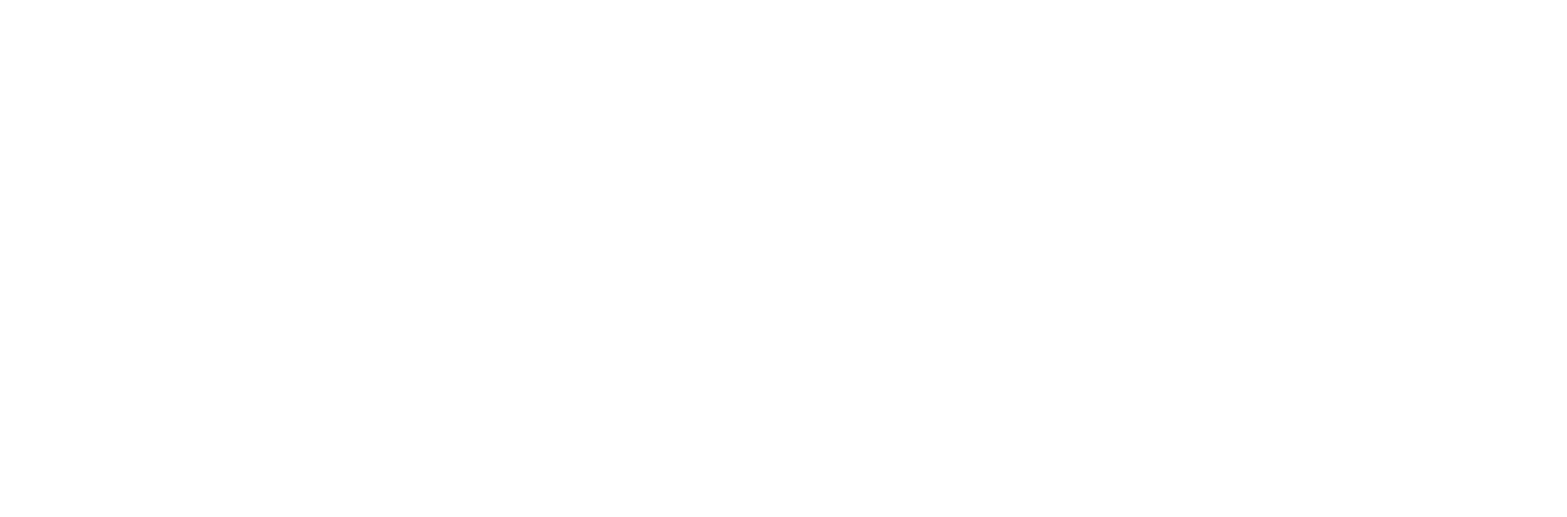 WellSouth 